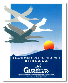 Pegatina: Hegazti migratzaileen behatokia Orreaga (1 €)