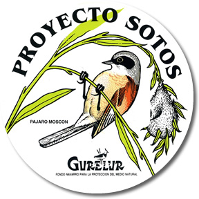 Sticker: Sotos Project (1 €)