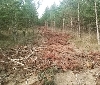 Gurelur demanda participación social en la gestión de las masas forestales para trabajar en la reducción de los incendios