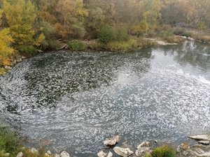 Vertidos en el Río Aragón